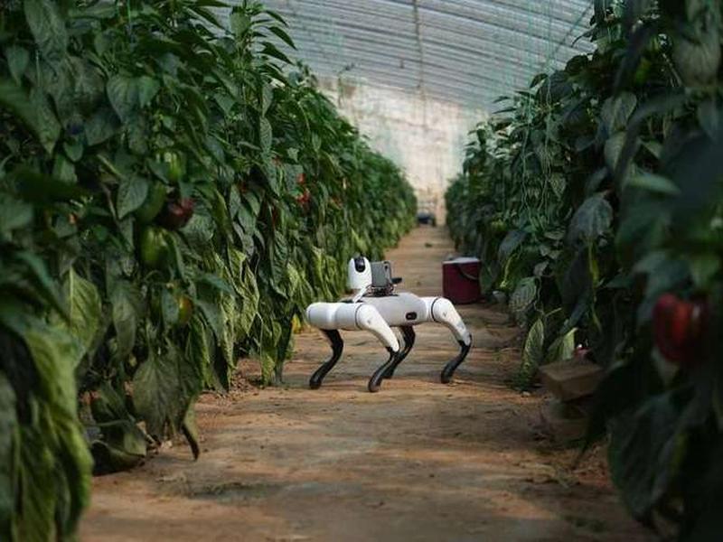 盛夏科技在线布局工具官网入口(盛夏科技在线布局工具官网入口下载) 盛夏科技在线布局工具官网入口(盛夏科技在线布局工具官网入口下载)