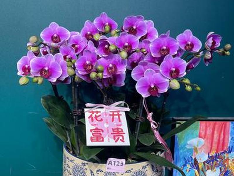 网页怎么创建到桌面、网页怎么创建到桌面显示 网页怎么创建到桌面、网页怎么创建到桌面显示