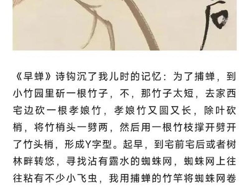 鸣蝉设置,鸣蝉啥意思 鸣蝉设置,鸣蝉啥意思