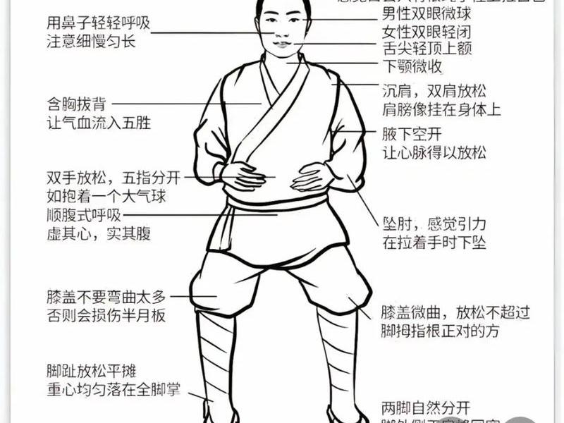 站桩的正确方法视频、站桩的正确方法视频教程15分钟左右怎么练 站桩的正确方法视频、站桩的正确方法视频教程15分钟左右怎么练