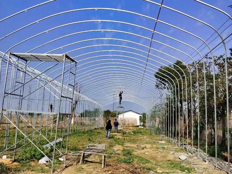 邹平大棚搭建视频，邹平大棚搭建视频最新