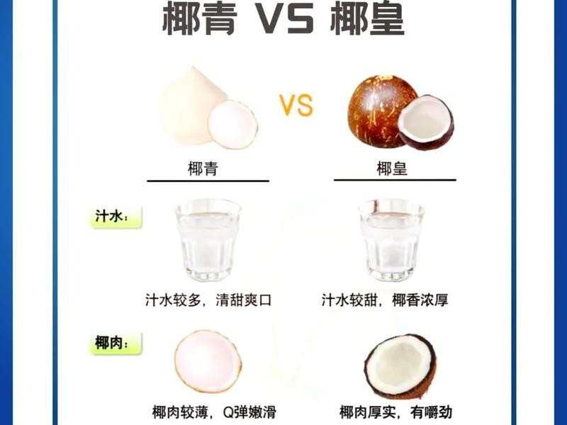 椰果app主要是干什么的,椰果app主要是干什么的呢 椰果app主要是干什么的,椰果app主要是干什么的呢