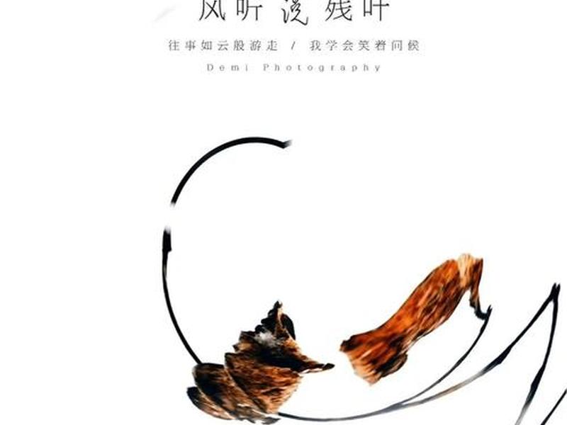 叶子网店铺怎么开通;叶子官网旗舰店 叶子网店铺怎么开通;叶子官网旗舰店