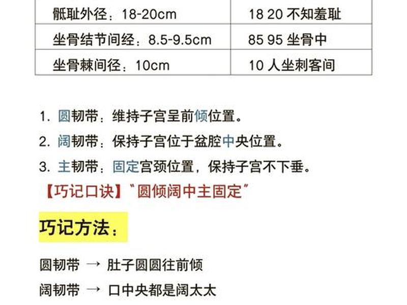 蹊径的使用技巧 蹊径的使用技巧包括 蹊径的使用技巧 蹊径的使用技巧包括