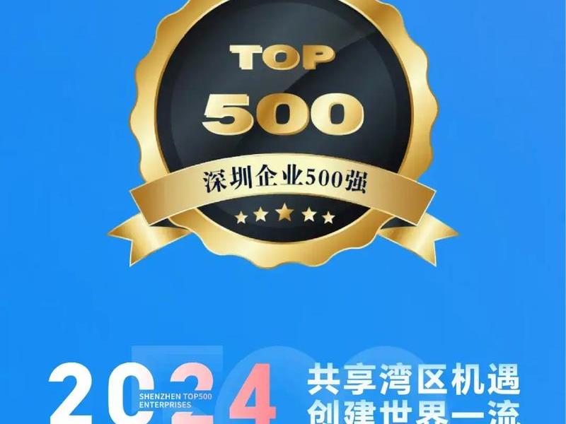深圳独立站公司排行、深圳做独立站做的最大的公司 深圳独立站公司排行、深圳做独立站做的最大的公司