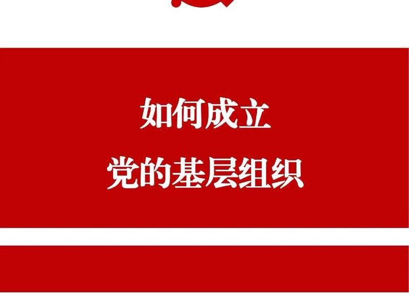 小微企业建立健全党组织 - 小微企业建立健全党组织生活制度