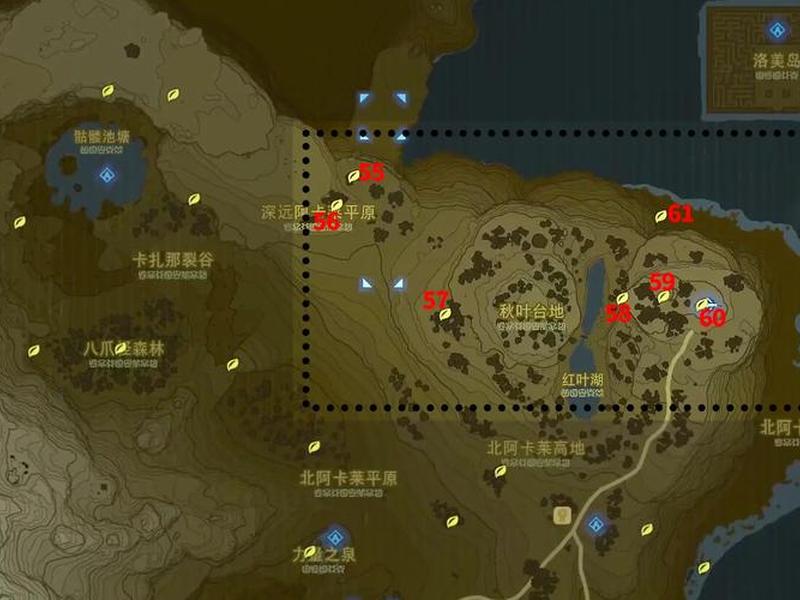 蜘蛛seo、蜘蛛森林的小站在哪 蜘蛛seo、蜘蛛森林的小站在哪