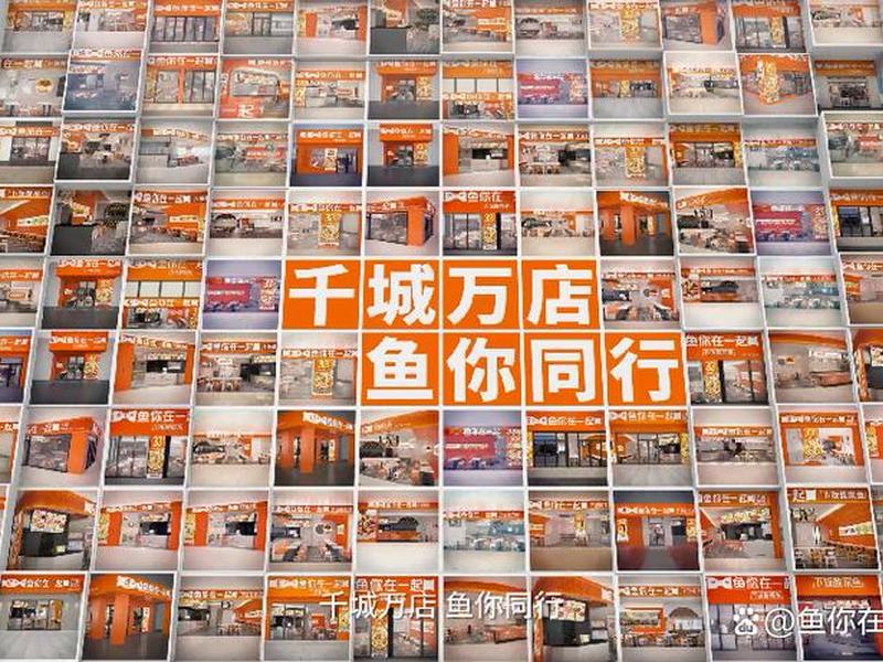 鱼总连续创业经历(鱼的创业方向有哪些) 鱼总连续创业经历(鱼的创业方向有哪些)