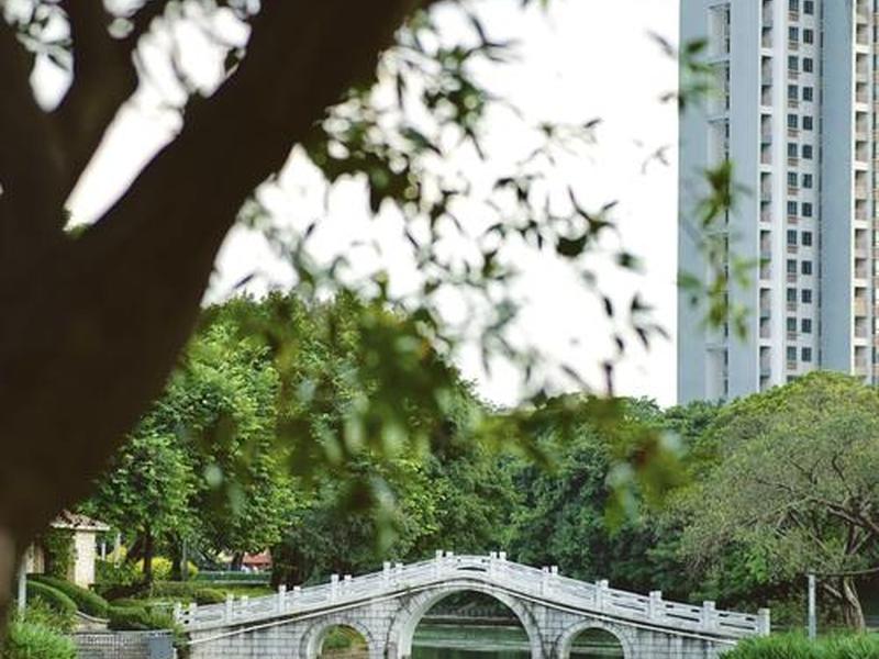石湾建站教程 - 石湾新建公园 石湾建站教程 - 石湾新建公园