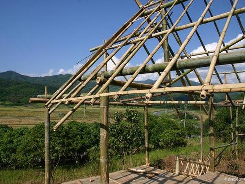 竹子搭建大棚（竹子搭建大棚结构怎样搭建）