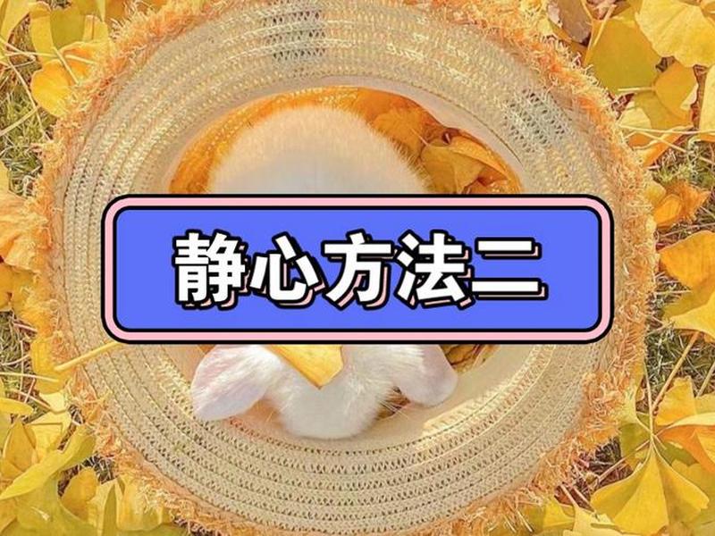 腾讯开悟教学平台 腾讯开悟教学平台怎么看训练监控的 腾讯开悟教学平台 腾讯开悟教学平台怎么看训练监控的