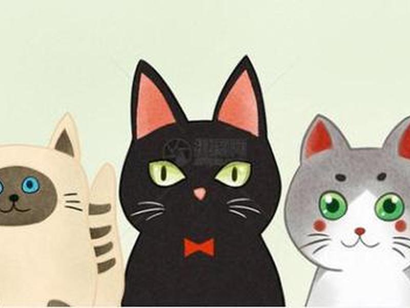 稳猫;稳当猫 稳猫;稳当猫