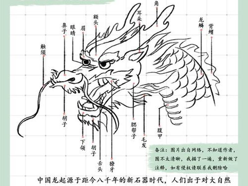 青龙教程、青龙使用教程