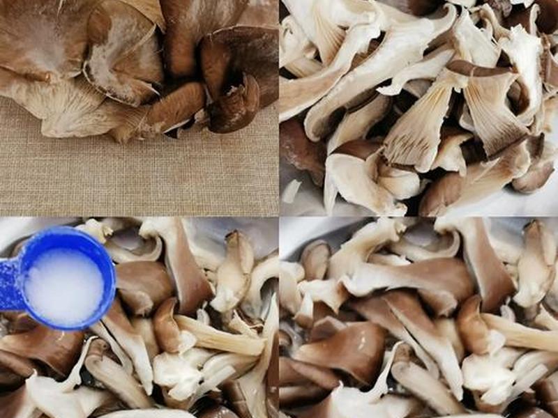 小蘑菇的做法视频、播放小蘑菇的做法 小蘑菇的做法视频、播放小蘑菇的做法