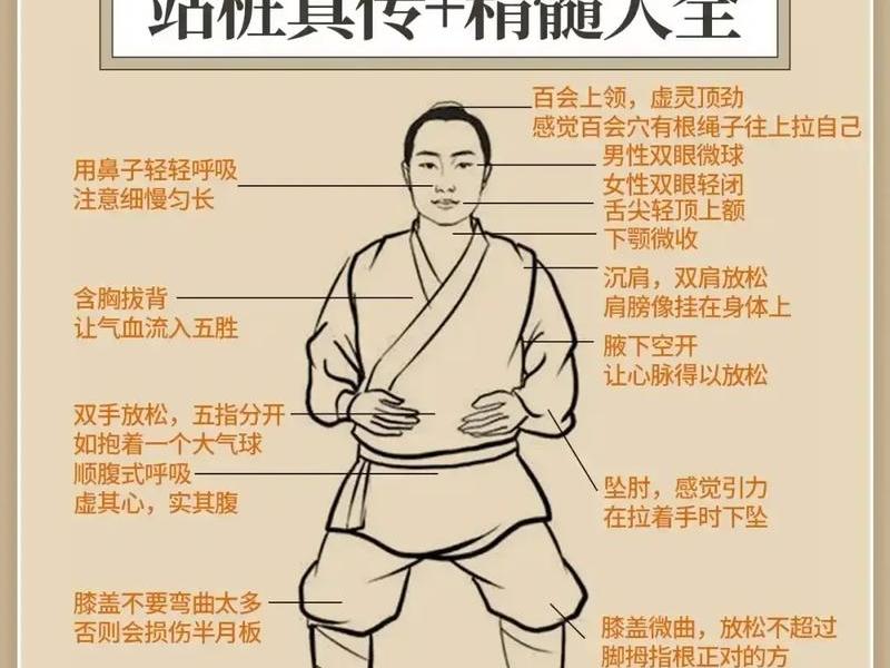 站桩教学视频教程全集、站桩教学视频教程全集免费观看 站桩教学视频教程全集、站桩教学视频教程全集免费观看