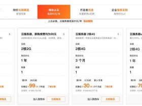 试用服务器1天，试用服务器1天多少流量
