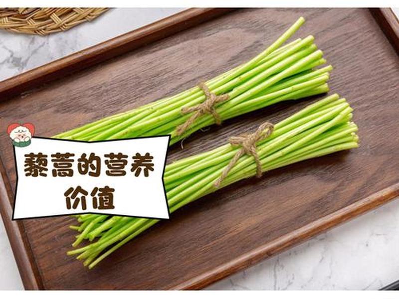 芦蒿种育苗方法(芦蒿种育苗方法图解) 芦蒿种育苗方法(芦蒿种育苗方法图解)