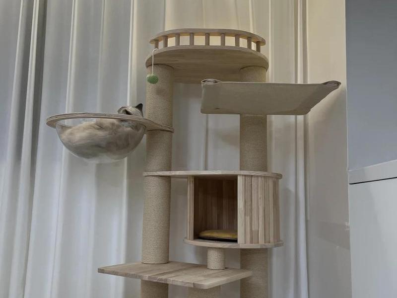 装修猫爬架教程 装修猫爬架教程视频 装修猫爬架教程 装修猫爬架教程视频