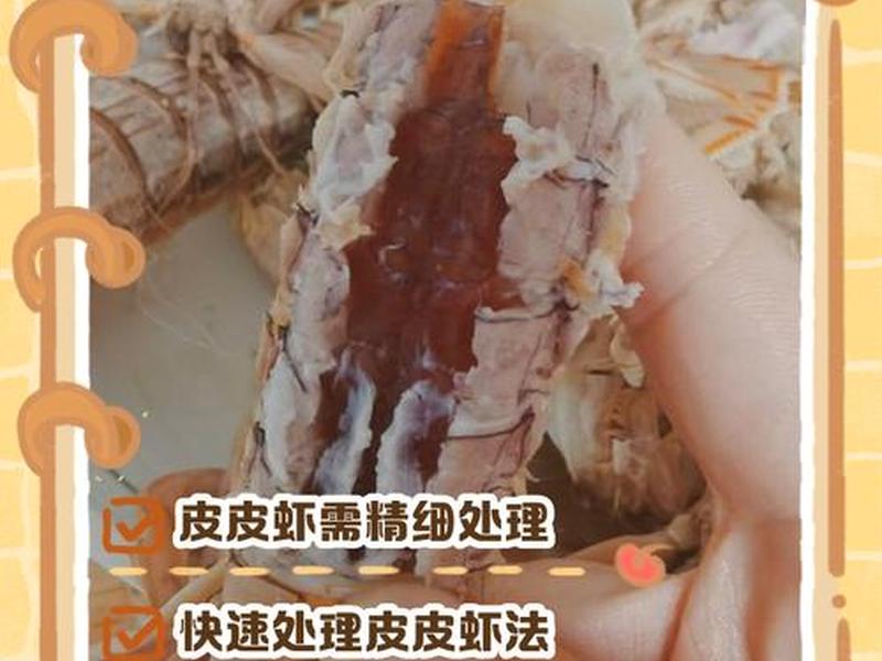 虾皮建站 - 虾皮是自建站吗 虾皮建站 - 虾皮是自建站吗