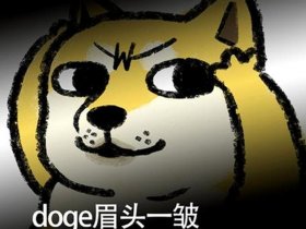 马克斯doge，马克斯韦伯