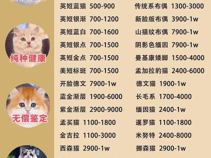 稳当猫寄卖行经营模式、稳当猫寄卖行运营模式 稳当猫寄卖行经营模式、稳当猫寄卖行运营模式