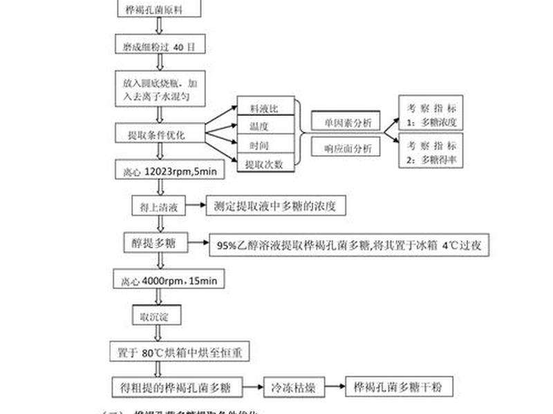 是怎么研制的；是怎么研制出来的