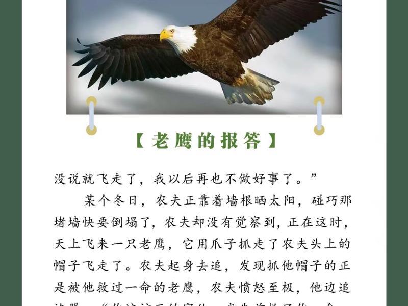 老鹰教程值得买?,老鹰教程值得买吗知乎 老鹰教程值得买?,老鹰教程值得买吗知乎