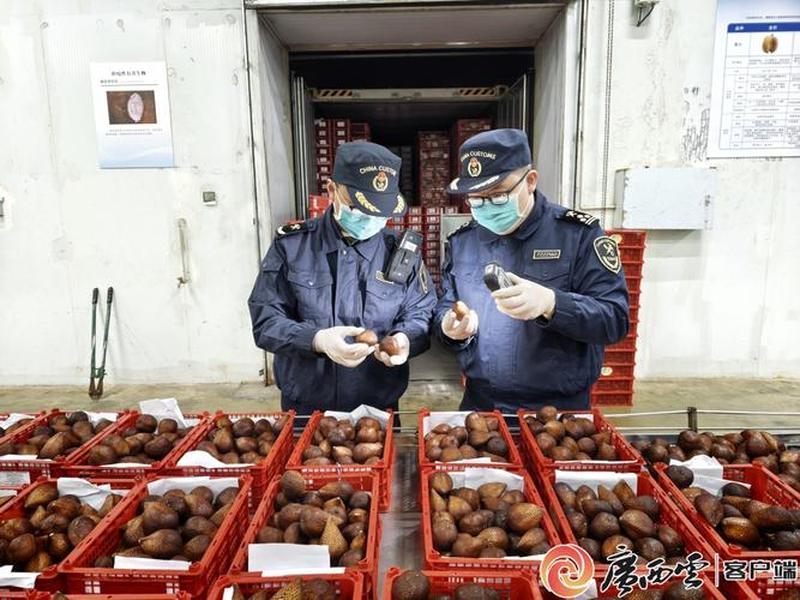 钦州外贸进出口 - 钦州外贸进出口贸易公司 钦州外贸进出口 - 钦州外贸进出口贸易公司