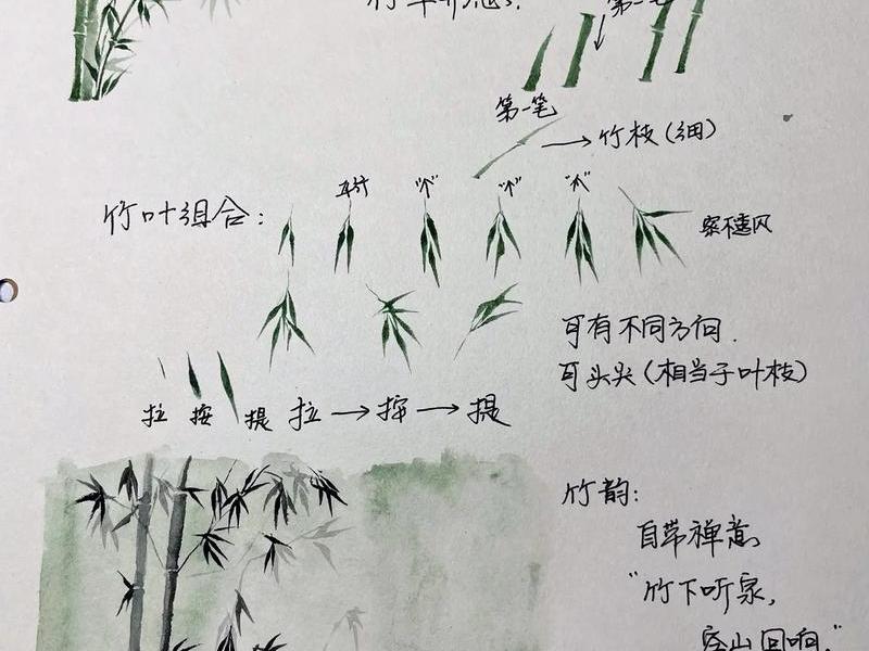 竹子建站编辑教程视频 竹子建房教程 竹子建站编辑教程视频 竹子建房教程