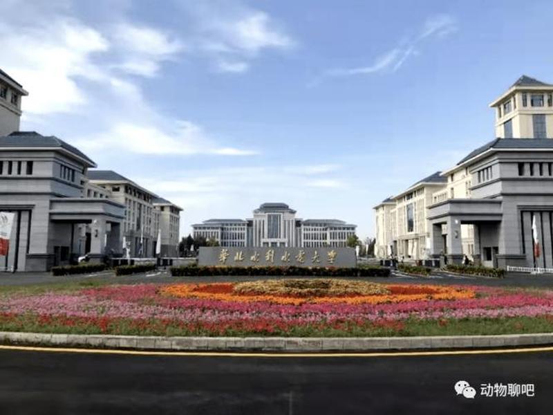 信阳建设大学 - 信阳建设大学官网