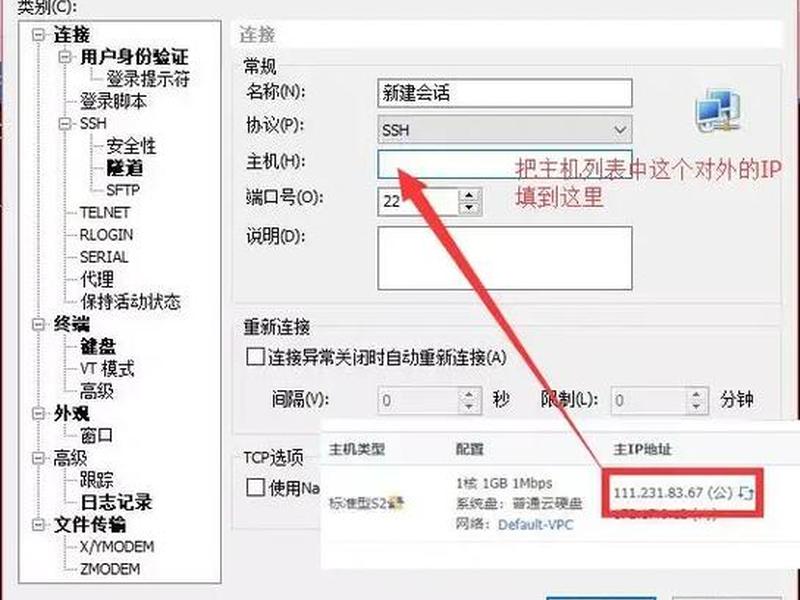 淘客网站搭建;淘客网站搭建流程 淘客网站搭建;淘客网站搭建流程