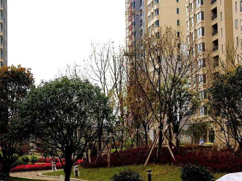云上建筑工程有限公司 云上建筑工程有限公司怎么样 云上建筑工程有限公司 云上建筑工程有限公司怎么样