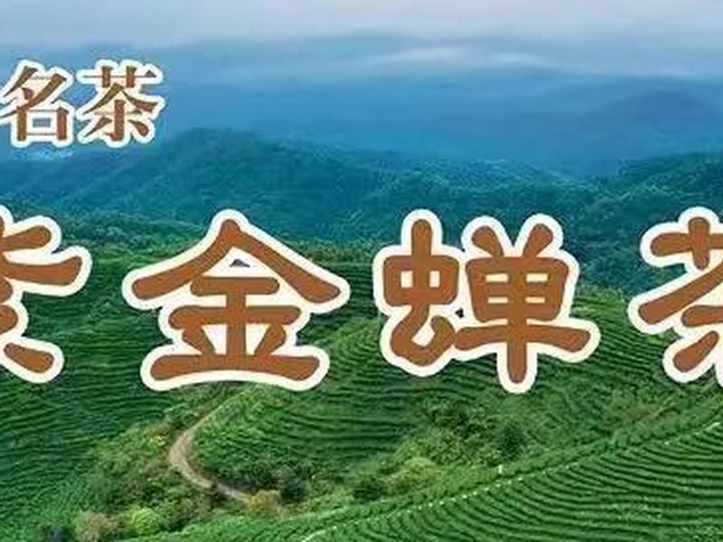 知蝉网是哪家公司的;知蝉网是哪家公司的产品 知蝉网是哪家公司的;知蝉网是哪家公司的产品