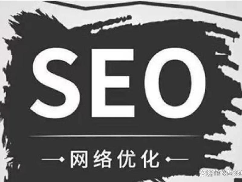 seo网站推广实例；seo网站推广实例怎么写