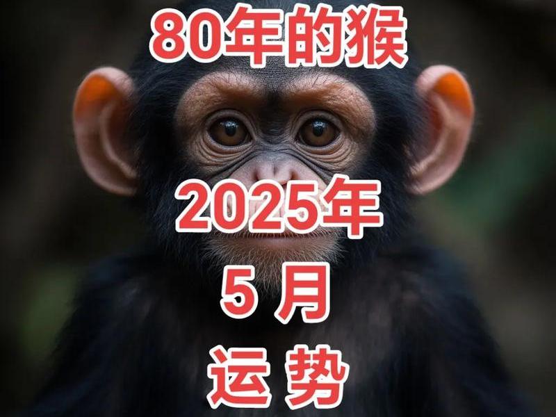1980年属什么生肖命 1980年属什么生肖命运 1980年属什么生肖命 1980年属什么生肖命运