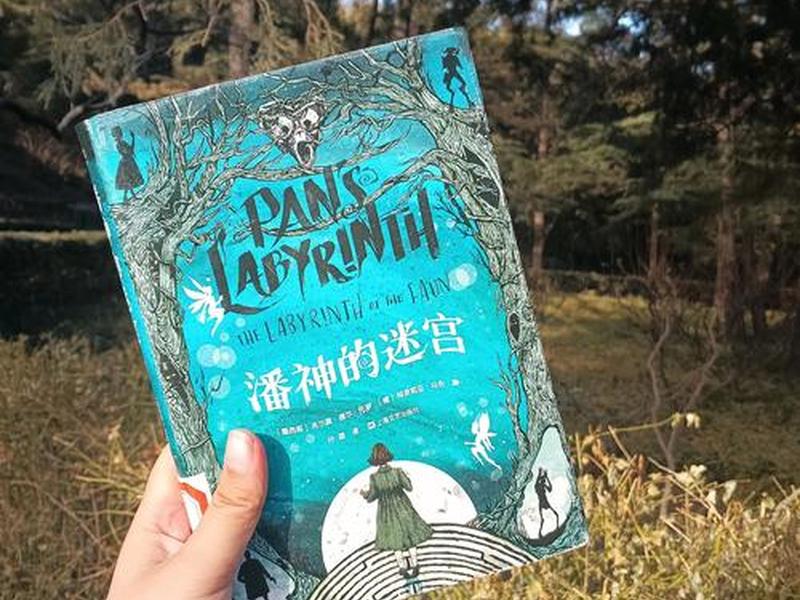 net是什么意思；neverlands是什么意思
