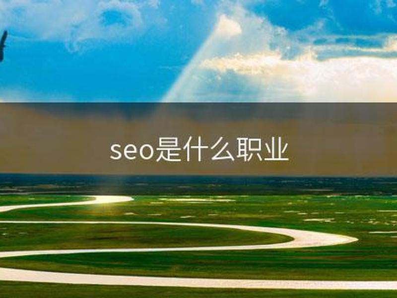 seo是什么职业岗位简称 seo是什么职业做什么的 seo是什么职业岗位简称 seo是什么职业做什么的