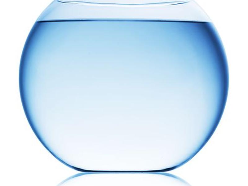 html5官网，html5fishbowl官网
