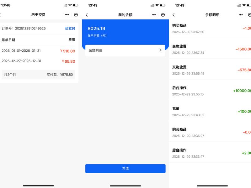 app软件开发的费用鲸鱼,app软件开发的费用计入什么科目 app软件开发的费用鲸鱼,app软件开发的费用计入什么科目