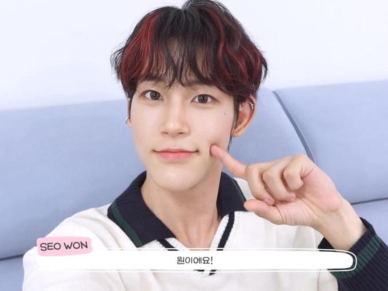 seow、seowhy
