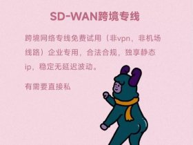 sdwan跨境专线个人可以申请吗；申请专线跨境联网