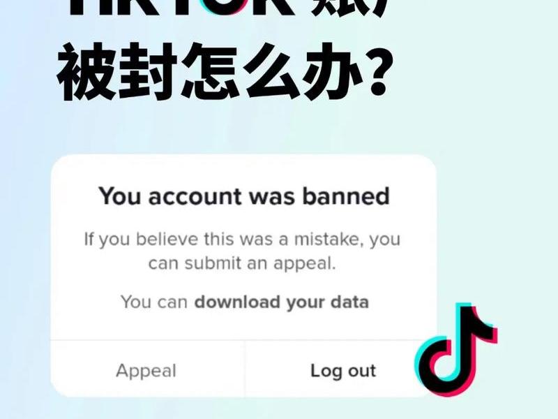 tiktok跨境电商平台入住要求(在tiktok可以挂的跨境电商平台有哪些) tiktok跨境电商平台入住要求(在tiktok可以挂的跨境电商平台有哪些)