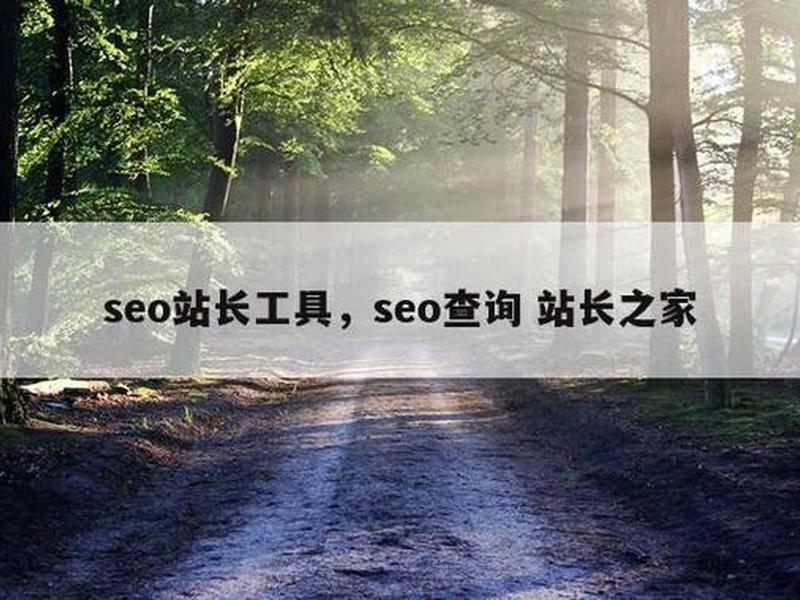 seo站长助手（seo查询 站长之家）
