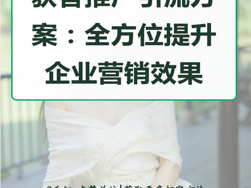 seo引流营销推广;seo引流营销推广方案 seo引流营销推广;seo引流营销推广方案