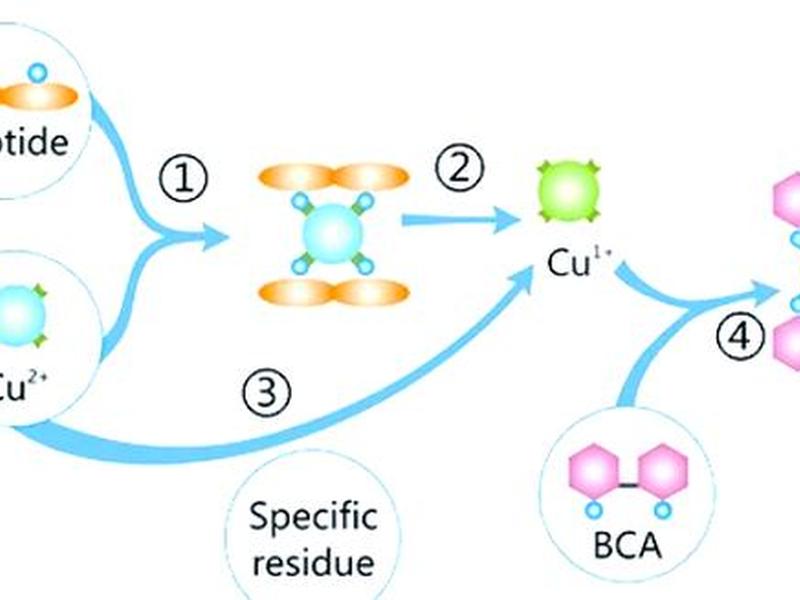 bcache源码分析 - bochs源码分析 bcache源码分析 - bochs源码分析