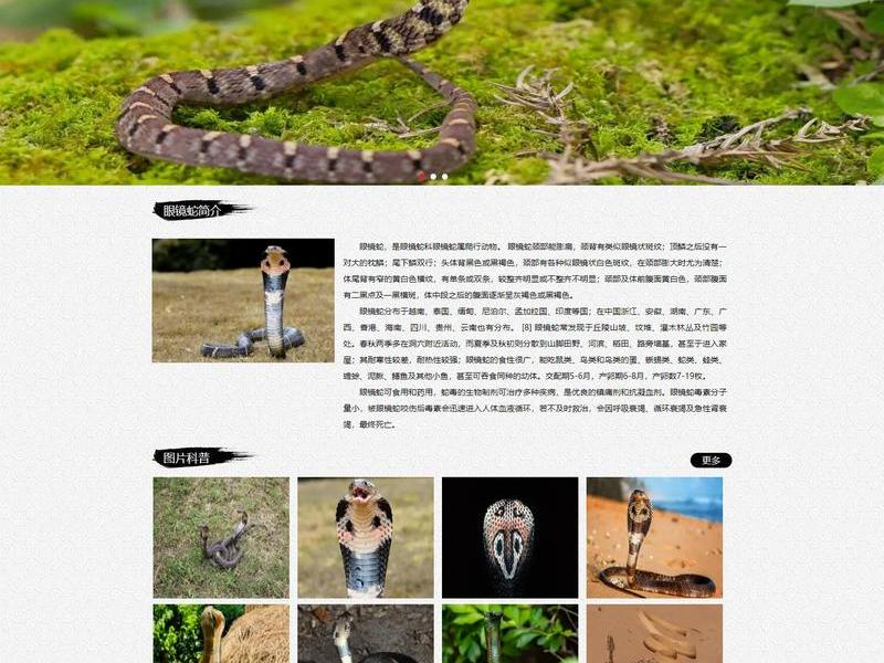 html网页制作在线生成网页版;html网页制作成品 html网页制作在线生成网页版;html网页制作成品