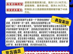 web3.0骗局 - web3.0骗局大揭秘
