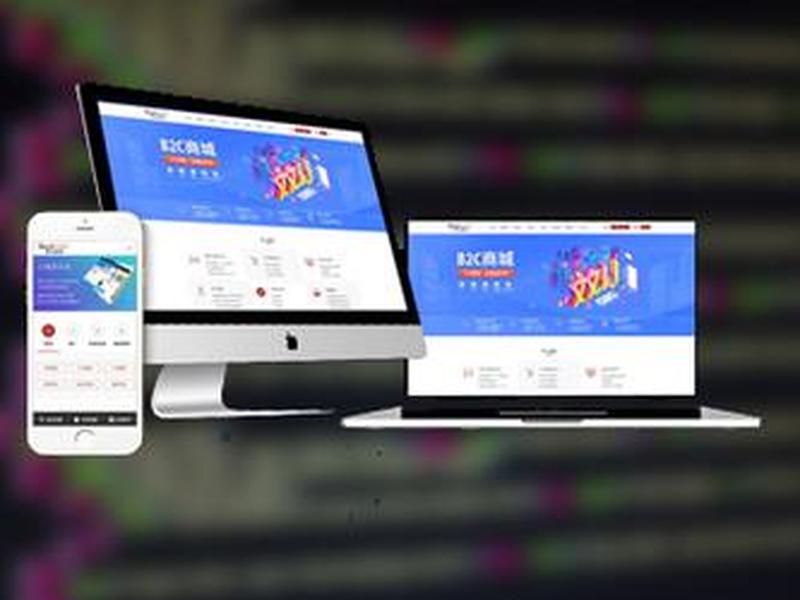 bc网站开发搭建2020,开发b2b网站 bc网站开发搭建2020,开发b2b网站