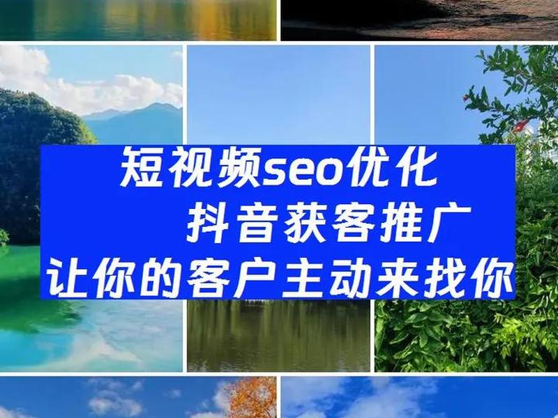 seo短视频网页入口报销 seo1短视频网址