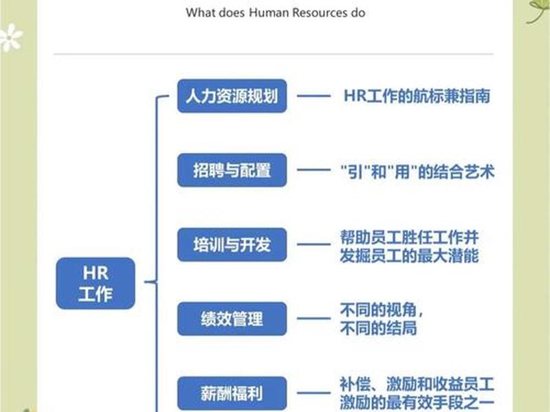 seo岗位是什么意思，seo是指什么岗位